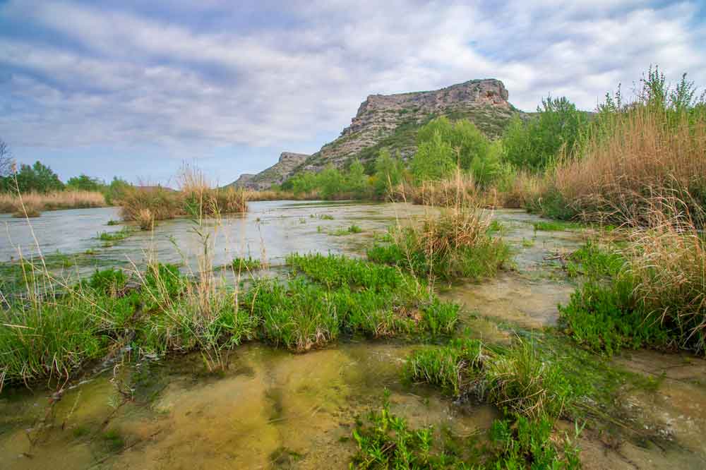 Devils river flowing water with green plants and a small hill and blue sky in the background.